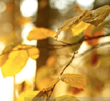 Capture d’écran 2013-11-24 à 18.13.42