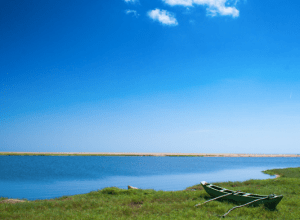 Capture d’écran 2014-03-22 à 23.16.34