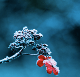 Capture d’écran 2015-01-01 à 16.42.45